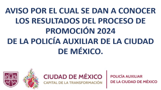 Proceso_Promocion_2024.png