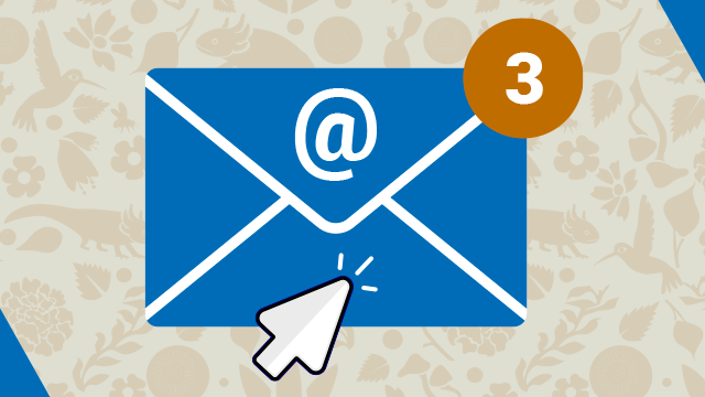 correo-institucional.png