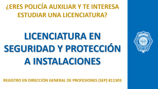 Lic_Seguridad_Proteccion_Instalaciones.png